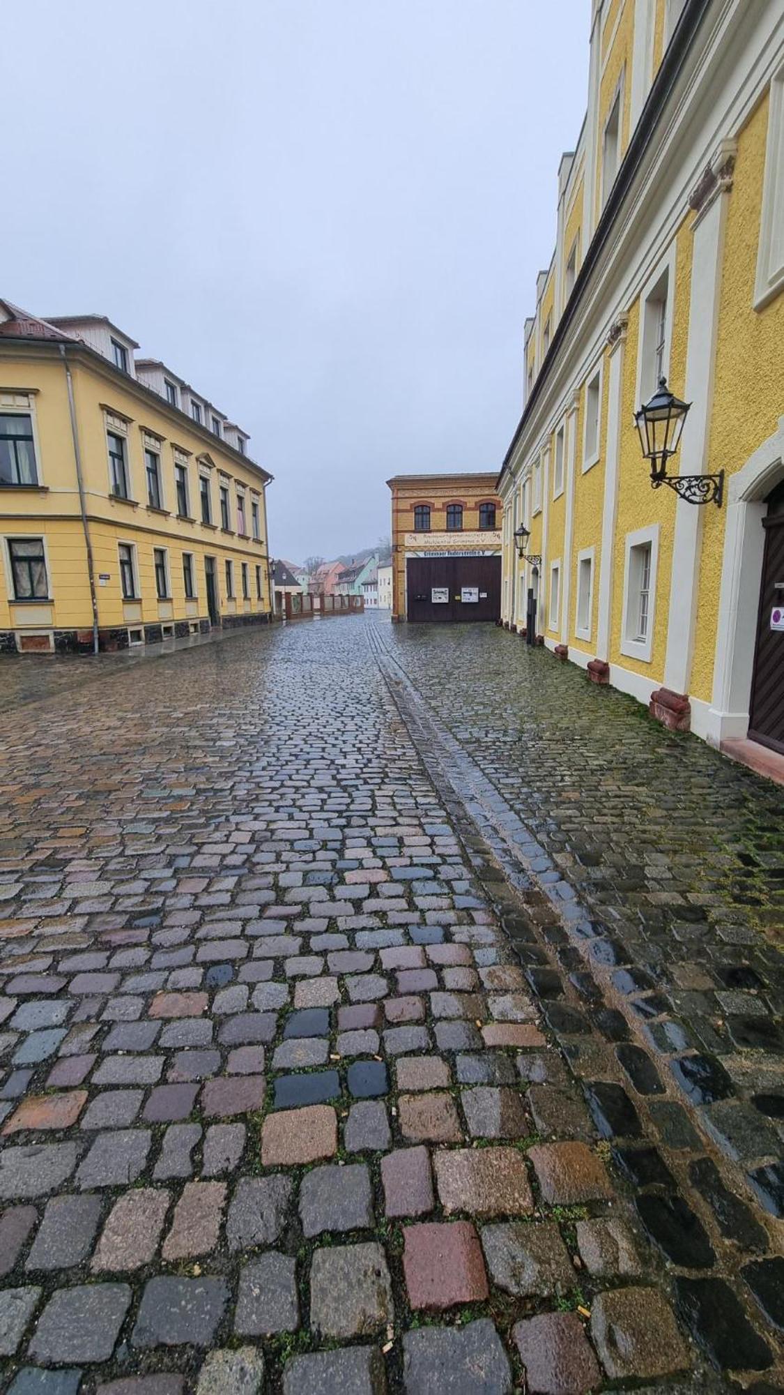 Roggenmuehle Otel Grimma Dış mekan fotoğraf